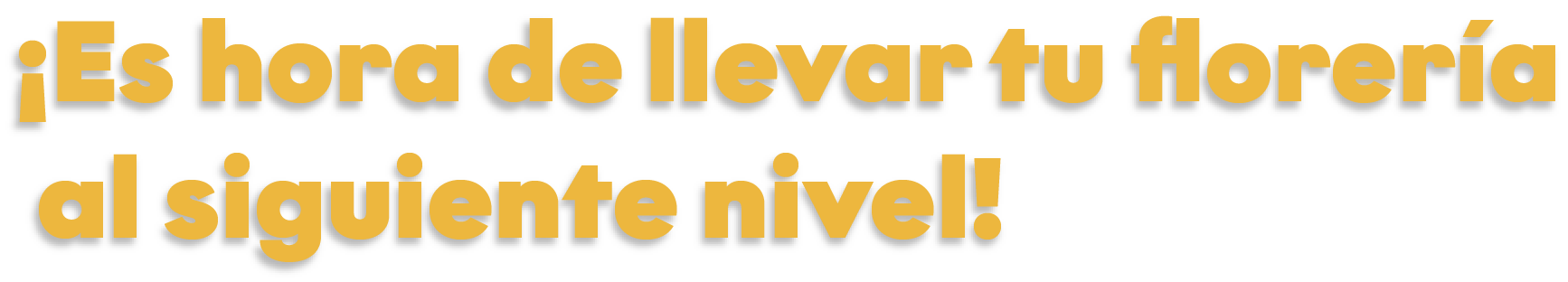 Descripción de la imagen